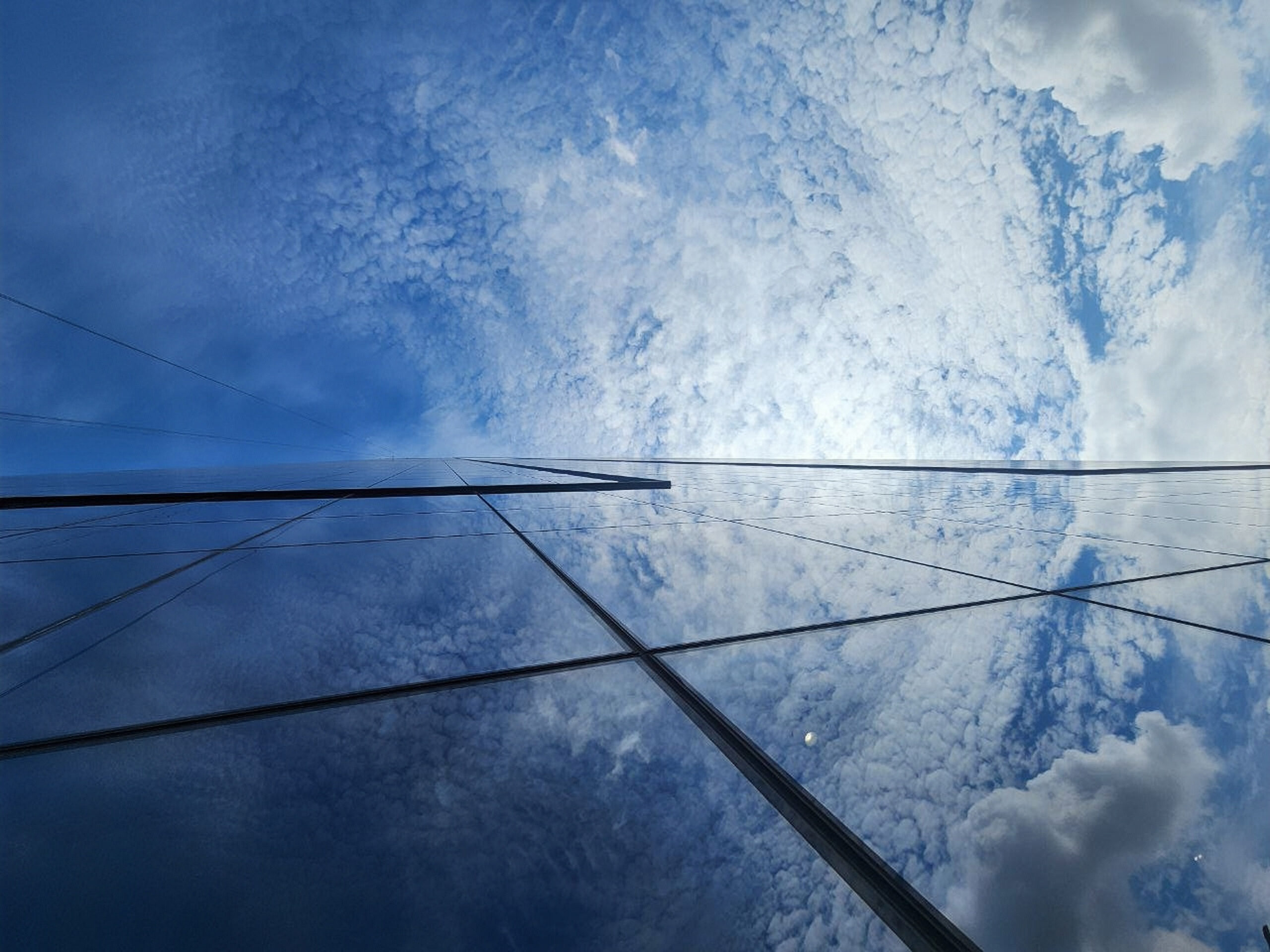 EXTROARDINARY CREATION